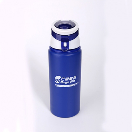 600ml Portable Stainless Steel