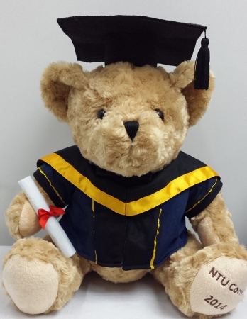 Bear with Baccalaureate Gown-LST1503